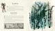 Fantastic Beasts and Where to Find Them Illustrated Edition - изображение 5