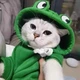 Толстовка для собак и кошек "Frog" Size L - изображение 4