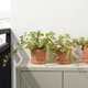 Горшок цветочный с поддоном ИКЕА BRUNBÄR для сада терракота, 12 см 105.108.26 - изображение 2