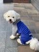 Костюм для собак Dogs Bomba мікрофліс електрик розмір 4 2000000033198 - изображение 1