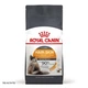 Сухий корм для котів Royal Canin Hair & Skin Care 2 кг (3182550721738) - изображение 1