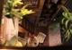 3D Румбокс "Кофейня" Кукольный Дом-Конструктор DIY Coffee Doll House от CuteBee (B07DV) - изображение 5