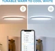 WiZ світильник світлий розумний SuperSlim Ceiling, 16W, 1500lm, 29,2см, 2700-6500K, Wi-Fi, білий - зображення 3