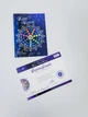 Трансформационная коучинговая игра «Коды Успеха», Татьяна Лемешко - изображение 10