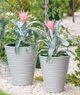 Горщик FormPlastic Sahara-35 сірий Form-Plastic - зображення 2