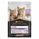 Влажный корм для котят Purina Pro Plan Kitten Healthy Start кусочки в соусе с индейкой 85 г (7613038508641) - изображение 1