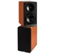 Полочные колонки активные ELAC DCB-41 DEBUT CONNEX Orange - изображение 3