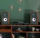 Акустическая система Triangle Borea BR02 Connect Green Vert - изображение 4