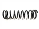 Пружина передня Chery Kimo KLM S12-2902011 - зображення 1