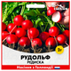 Голландське Насіння Bejo Редиска Рудольф , 2 г - зображення 2
