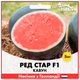 Арбуз Ред Стар F1, 5 шт - изображение 2