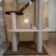 Высокая компактная когтеточка лежанки гамак для кошек, котов 190х80х60см бежево коричневый - изображение 7