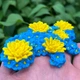 Силіконовий молд Україна - зображення 3