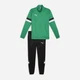 Спортивный костюм мужской Puma teamRise Trg 65865305 XL Sport Green-Black (4099685976331) - изображение 10