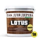 Лак акриловий LOTUS Прозорий Глянцевий 1л для дерева каменю бетону без запаху - изображение 2