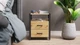 Тумба універсальна Ferrum-decor Вів'єн 2/2 50x41x40 чорний ДСП Дуб Артизан 16мм (XK00111) - зображення 4