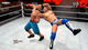 Гра Sony PlayStation 3 WWE '12 Wrestlemania Edition Англійська Версія Б/У - зображення 2