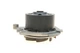 Комплект ГРМ INA 530022630 Alfa Romeo 156; Fiat Punto 71771589, 55192240, 55210626 - изображение 7