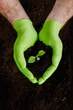 Рукавички нітрилові Mercator Medical GoGrip Green M Зелені 50 шт (00-00000178) - изображение 7
