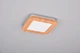 Люстра LED светодиодная потолочная Reality CAMILLUS 9W 1000lm 3000K (R62931035) на кухню, для спальни, для гостиной - изображение 4