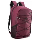 Городской рюкзак Semi Line 35л Cherry/Black (DAS302172) - изображение 1