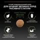 Сухой корм Purina Pro Plan Veterinary Diets Large Robust Puppy Healthy Start Chicken Сухой корм с курицей для щенков и юниоров крупных и гигантских пород 12 кг (7613035120341) - изображение 9
