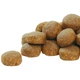 Сухой корм Purina Pro Plan Veterinary Diets Large Robust Puppy Healthy Start Chicken Сухой корм с курицей для щенков и юниоров крупных и гигантских пород 12 кг (7613035120341) - изображение 11