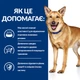 Сухой корм Hill's PD Canine I/D 12 кг (605862) - изображение 7