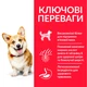 Сухой корм Hill's SP Canine Adult Small & Miniature Chicken & Turkey 1,5 кг (607654) - изображение 3