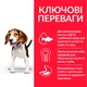 Сухий корм Hill's SP Puppy Medium Breed Lamb & Rice 2,5 кг (604270) - зображення 3