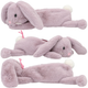 Piórnik-tuba Depesche Princess Mimi Plush Bunny (4010070654528) - obraz 4