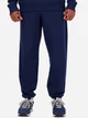 Спортивные штаны мужские New Balance Nb Small Logo MP41519NNY M Синие (197375356990) - изображение 1