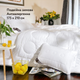 Двойное зимнее одеяло IDEIA Air Dream Exclusive 175Х210 см (8-11767) - изображение 1