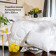 Двойное зимнее одеяло IDEIA Air Dream Exclusive 200Х220 см (8-11768) - изображение 1