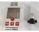 Комплект LED ламп EA Light X G11 PSX24 5000 K 3000 Lm - изображение 2