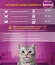 Сухой корм Whiskas с курицей для стерилизованных котов 14 кг (5900951259418) - изображение 2