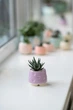 Керамический горшок для суккулентов Mini Plant 6,3х6,4см Арт Сердечки Сиреневый - изображение 1
