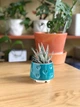 Керамический горшок для суккулентов Mini Plant 6,3х6,4см Арт Сердечки Бирюзовый - изображение 3