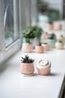 Керамічний горщик для кактусів Mini Plant 6,3х6,4см Арт Сердечка Рожевий - зображення 5