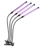 Фітолампа для рослин Plant GrowLight світлодіодна з таймером, чорна (TB017938) - зображення 2