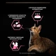 Консервированный корм Purina Pro Plan Veterinary Diets Delicate Паштет с индейкой для кошек с чувствительным пищеварением 85 г (8445290173317) - изображение 6