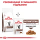 Сухой корм Royal Canin Gastrointestinal Moderate Calorie Feline 2 кг (40080201) - изображение 7