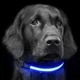 Світиться LED нашийник, повідець для тварин собак і кішок чорний - зображення 1