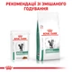 Лечебный корм Royal Canin Diabetic Feline Pouches 85 г (40850011) - изображение 7