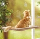 Лежанка віконна для кішки Sunny Seat Window Cat Bed (61901TT727) - зображення 1