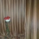 Жаккард двухсторонний полоска коричневый светлый, ш.280 (31430.007) - изображение 4