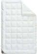 Одеяло IDEIA Super Soft Premium летнее полуторное 140x210 Антиаллергенный искусственный пух Белое (4820182655623) - изображение 1