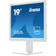 Монитор iiyama B1980D-W5 - изображение 5