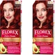 Набор Florex Super Стойкая крем-краска для волос Кератин 5.0 Яркий махагон х 2 шт (4823001602433) - изображение 1