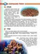 Мешканці морів та океанів - Жабська Т.С. (9786176950318) - изображение 2